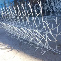 تولیدی حفاظ کاج