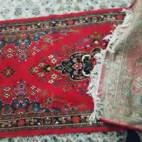 فرش|فرش|بیجار, |دیوار