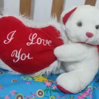 عروسک خرسی ولنتاین