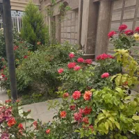 رهن باغ ویلا لاکچری با لوازم|اجارهٔ خانه و ویلا|رباط‌کریم, پیغمبر|دیوار