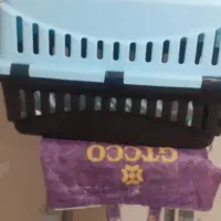 باکس سگ
