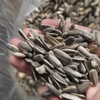 تخمه مناسب پرنده|لوازم جانبی حیوانات|تهران, بهمن یار|دیوار