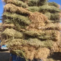 یونجه خالص چین اول و دوم سبز وخشک|حیوانات مزرعه|مشگین شهر, |دیوار