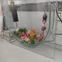 آکواریوم شیشه ای|ماهی|تهران, شکیبا|دیوار