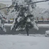 زمین جهت باغ تالار یا باغ