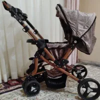 کالسکه دلیجان مدل بنیتا