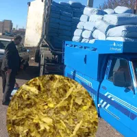 ذرت علوفه ای، نقد و چکی بفروش می‌رسد