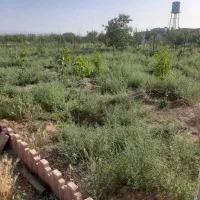 نظرآباد ۱۳۰۰متر با ۷ ساعت آب فروشنده واقعی و تهاتر|فروش زمین و ملک کلنگی|نظرآباد, نجم آباد|دیوار