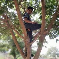 هرس برش سربرداری وقطع درختان باغی ومنزل|خدمات باغبانی و درختکاری|تربت جام, اسماعیل آباد|دیوار