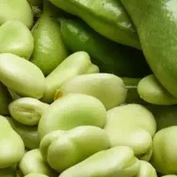 خلال باقلا سبز سبز