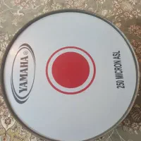 طبل نو|درام و پرکاشن|شیراز, فرگاز|دیوار