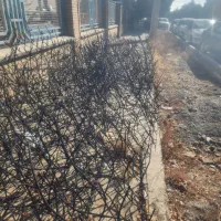 حفاظ روی دیوار مدل شاخ گوزنی|مصالح و تجهیزات ساختمان|مشهد, شهرک صنعتی توس|دیوار