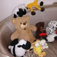 فروش تعدادی اسباببازی|اسباببازی|تنکابن, |دیوار