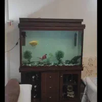 اکواریوم ۱۲ میل ۱۲۰ در ۸۰