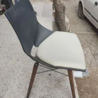 صندلی پایه چوبی|میز و صندلی غذاخوری|کرمان, |دیوار