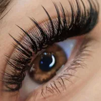 اکستنشن مژه ۵۵۰    لیفت  ابرو ۴۵۰ آموزش ۳ تومان