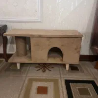 جای خواب و اسکارچر گربه