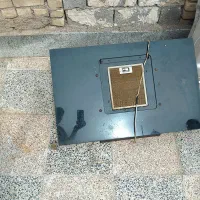 سینک وهود