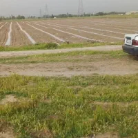 تیم کار کشاورزی