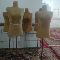 مانکن سوزن خور