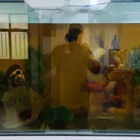 آکواریوم بزرگ مخصوص خاص پسندا|ماهی|ارومیه, |دیوار