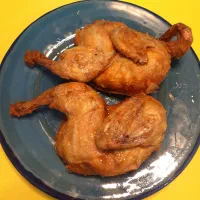 غذای خونگی مریم