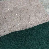 تور شاین(مجلسی)