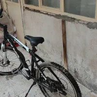 دوچرخه ویوا|دوچرخه، اسکیت، اسکوتر|قزوین, |دیوار