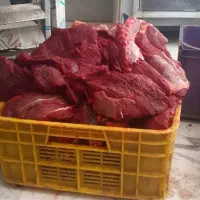 گوشت گوساله گرم|خوردنی و آشامیدنی|تهران, دردشت|دیوار