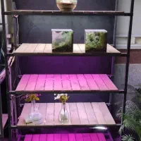 قفسه مغازه  فروشگاه  انبار