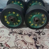 دنبل درحدنو