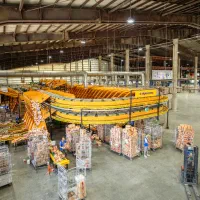 جذب نیروی ثابت در انبار به همراه سرویس و پاداش