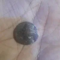 سکه عتیقه|کلکسیون اشیاء عتیقه|زاهدان, |دیوار