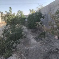 باغ معاوظه با آپارتمان سند دار ۳نیم میلیاردنقد|فروش خانه و ویلا|مشهد, کلاکوب|دیوار