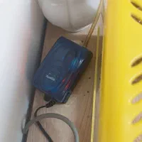 اکواریوم با پمپ|ماهی|بندر انزلی, معلم|دیوار