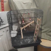 قفس پرنده بزرگ با تمام وسایل