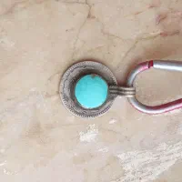 گردنی فیروز