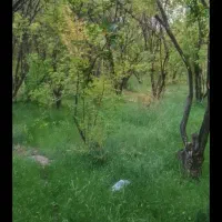 استخدام سرایدار باغ جوپار|استخدام سرایداری و نظافت|ماهان, |دیوار