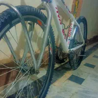 دوچرخه 26 ویوا|دوچرخه، اسکیت، اسکوتر|زابل, |دیوار