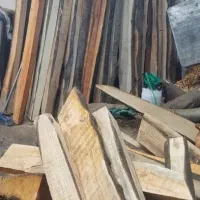 چوب توسکا گردو و اوجا ایرانی|عمده‌فروشی|تهران, اوقاف|دیوار