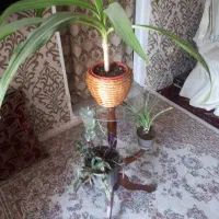 جاگلدانی چوبی