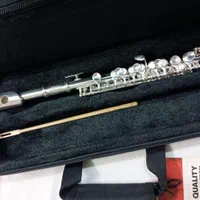 فلوت پیکولوSTAgg|سازهای بادی|ری, حمزهآباد|دیوار