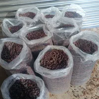 مویز|عمدهفروشی|نورآباد ممسنی, |دیوار