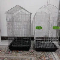 قفس کاسگویی|لوازم جانبی حیوانات|قم, نیروگاه|دیوار