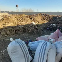 کود گوسفندی خالص کود باغ شهریار