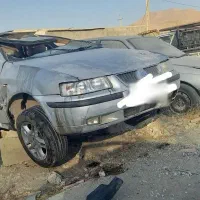 سمند تصادفی