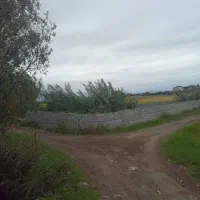 زمین به قیمت|فروش زمین و ملک کلنگی|دابودشت, |دیوار