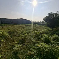 ۲۹۰متر دور محصور شده بادپروانه ساخت در ندامان|فروش زمین و ملک کلنگی|گوراب زرمیخ, |دیوار