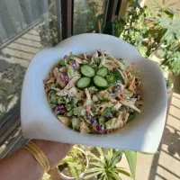 ظروف سرامیکی فقط ۱۸۰|ظروف سرو و پذیرایی|سبزوار, همت|دیوار