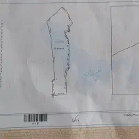 زمین کشاورزی موچش